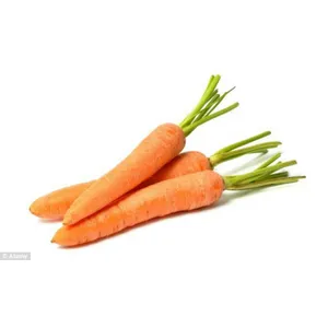 Carrot(গাজর)