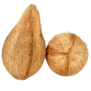 Coconut