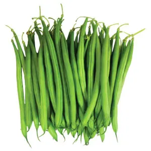 Beans