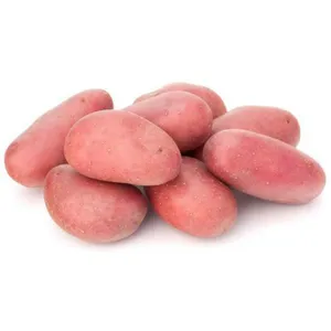Red potato(লাল আলু)