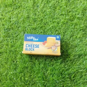 Processed CHEESE BLOCK
