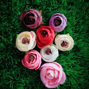 Poeny Flower medium