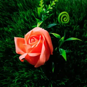Non Edible Flower 40