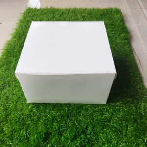 Cake box 9×9×5