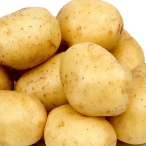 আলু 