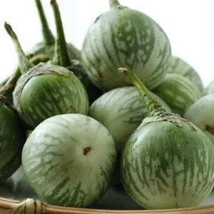 তাল বেগুন