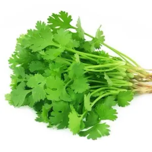 Coriander leaves 100g