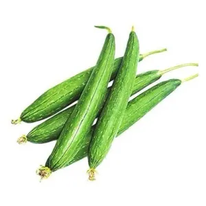 Sponge Gourd (Ghosale/Gilka)

