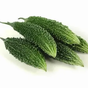Bitter Gourd - Karela