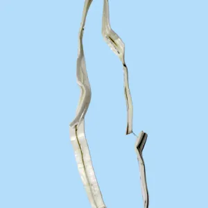 সোলার মালা solar mala