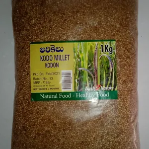 అరికలు- kodo millet