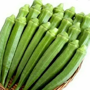 Ladyfinger 