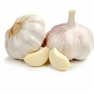 Garlic(लहसुन)