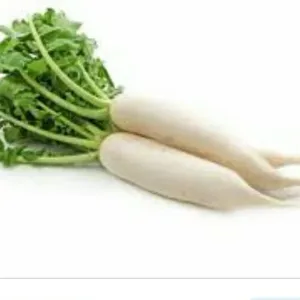 Radish