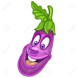 கத்தரிக்காய்.                                                 (BRINJAL) 