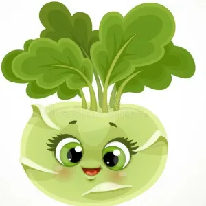 நூல்கோல்.                                                             (KOHLRABI)