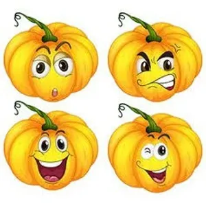மஞ்சள் பூசணி.                                                            (YELLOW PUMPKIN) 