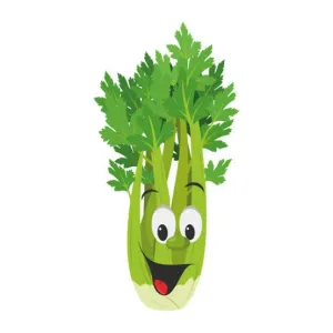 சிவரிக்கீரை.                                                             (CELERY) 