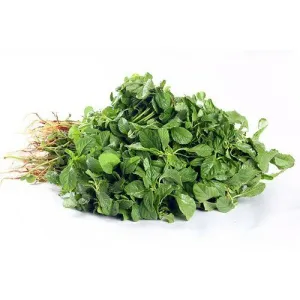 சிறு கீரை.                                                    (SPINACH)