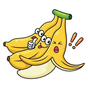 எலக்கி                               (YELAKKI BANANA) 