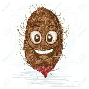 கருணைக்கிழங்கு
                                        (YAM)