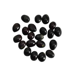 BLACK GUNJA SEEDS FOR DIWALI PUJA SET OF 11 PCS