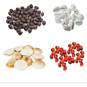 Kamalgataa seeds White kodiya Gomti Chaker Red gunja seeds set of 11 each