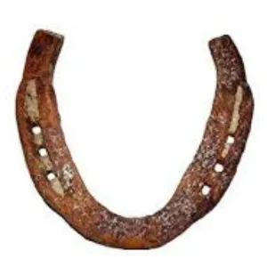 Horse shoe ghode ki naal 1 pcs for najar protector