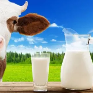 Milk direct from Farm