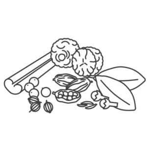 Masala &  Dry Fruits