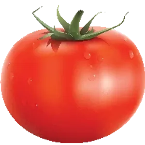 Tomato Hybrid (Farm Grade) 10kg