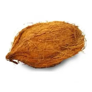 नारियल