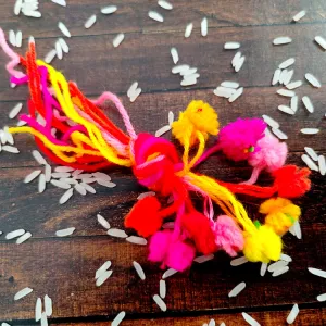 dev rakhi pack of 10 small