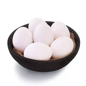 Protein Products