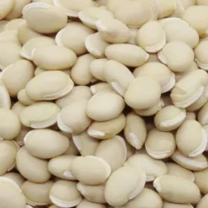 Mochai/ மொச்சை