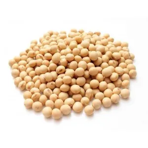 Soya bean सुनटे 