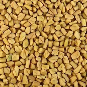 Fenugreek 100 g