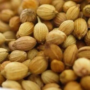 Coriander seeds/ Dhaniya/ಕೊತ್ತಂಬರಿ ಬೀಜ