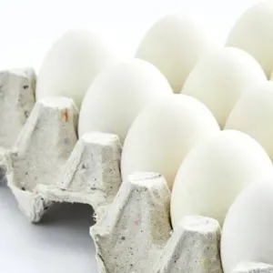 White Egg