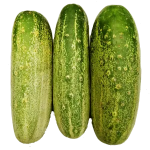 Desi Kheera