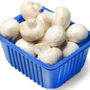 Mashroom