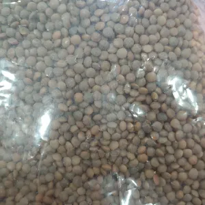 Kali Masoor Desi
