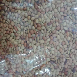 Kulthi Dal