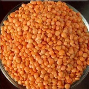 Masoor Dal (Red)  1 kg
