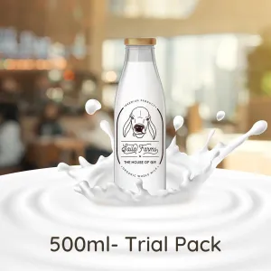 A2 Cow Milk- 500ml (Trail Pack)