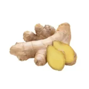 अदरक ( Ginger )