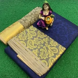 Stylish Silk Saree with blouse 