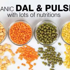 8. Dal &Pulses