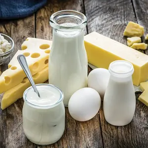 Dairy Products 