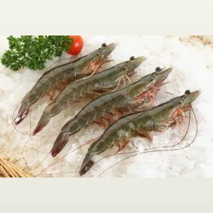 Vannamie Prawns 60 counts